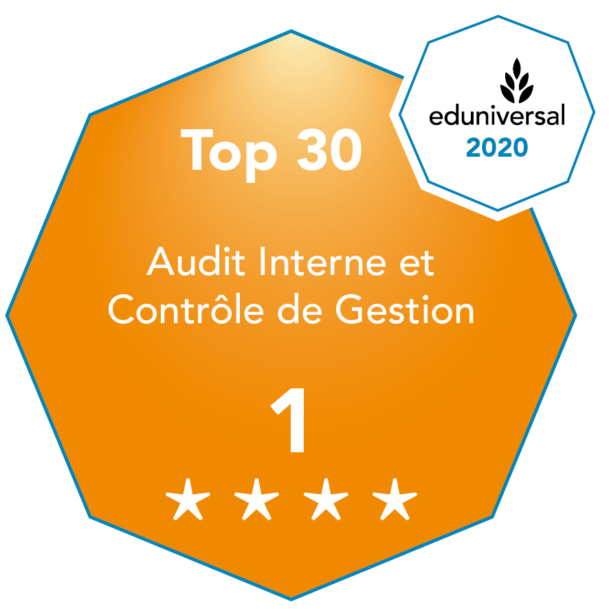 Master Mastere Specialise Gestion Audit Interne Alternance