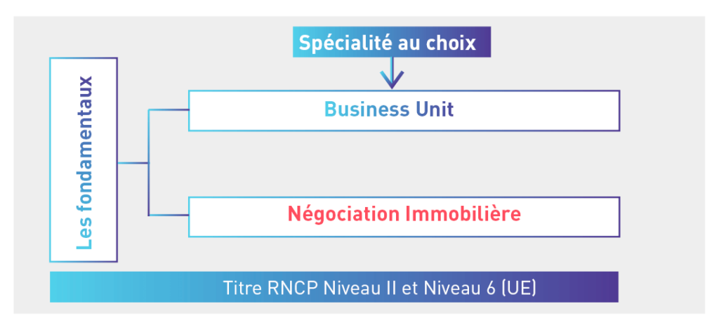 Schema Manager Cp Immobilier