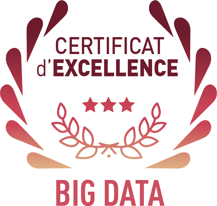 Programme TBS Grande École - Certificat Big Data