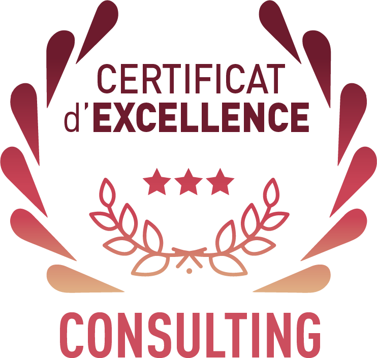 Programme TBS Grande École - Certificat Consulting